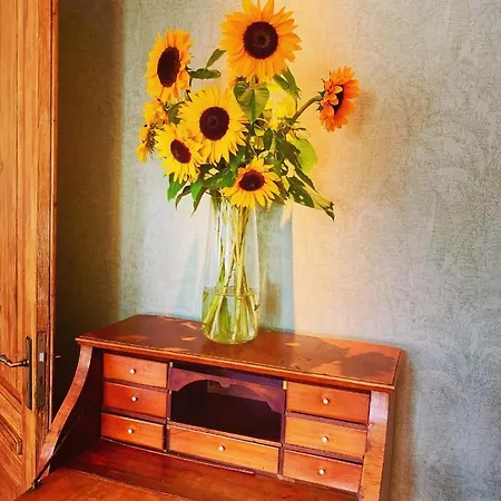 Jagdschloss Friedrichsmoor Hotell *